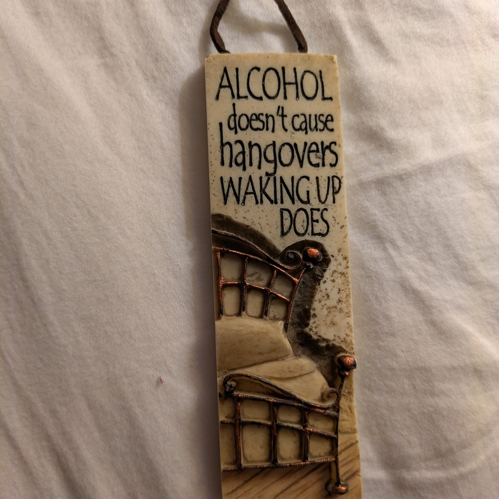 Humorous Party Wall Hanging Plaque